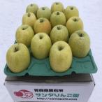 甘い青りんごの定番 王林 約5キロ