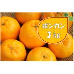 湯の花のポンカン3kg