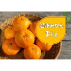 湯の花 季節の温州みかん3kg箱