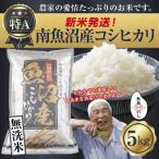 ふるさと納税 南魚沼市 無地のし 無洗米 令和7年産 南魚沼産 コシヒカリ 5kg (お米の炊き方ガイド付)