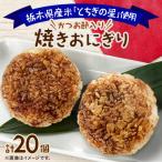 地元栃木産 とちぎの星 を使った焼きおにぎり 2個×10パック