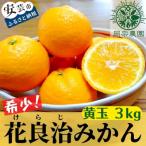 みかん 青玉 3kg