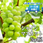ふるさと納税 笛吹市 クール便発送 シャインマスカット 2kg (4房)
