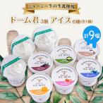ジャージー牛の生乳を使用したドーム君3個とアイス6種 各1個