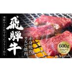 ふるさと納税 高山市 飛騨牛 焼肉 厳選2種盛(赤身焼肉・カルビ焼肉)600g 小分け 冷凍真空パック MZ008