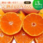 和歌山 由良早生みかん 約3kg