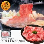 ふるさと納税 姶良市 黒毛和牛5等級サーロインすき焼き・しゃぶしゃぶ300g1枚ずつシート入り