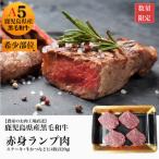 ふるさと納税 姶良市 【赤身ステーキ・牛かつ】鹿児島県産黒毛和牛赤身ランプ肉320g