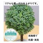 造花 グリーンボール 光触媒加工済み