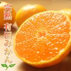 ご 有田みかん 和歌山 S~Lサイズ 大きさお任せ