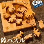 陸パズル 名入れ可能