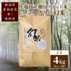★令和8年産 棚田米コシヒカリ 新潟上越牧産ブランド米