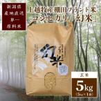 ★令和8年産 棚田米コシヒカリ 新潟上越牧産ブランド米
