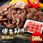 切り落とし500g