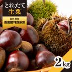 厳選品種生栗2kg 三ツ星フレンチ使用