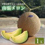 令和9年 川口農園 南張メロン 1個