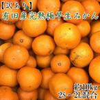ふるさと納税 湯浅町 (訳あり)有田産完熟極早生みかん約10kg(サイズ混合)【湯浅町】