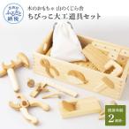 ちびっこ大工道具セット 巾着付き