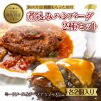 ふるさと納税 南魚沼市 和豚もちぶた ハンバーグ 煮込み&チーズハンバーグ 2種セット 各2個入