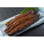 肉厚 大サイズ 三河一色直送 うなぎ蒲焼 160g以上×2本