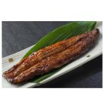 肉厚 大サイズ 三河一色直送 うなぎ蒲焼 160g以上×1本