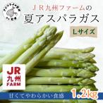 fu.... налог сосна . город JR Kyushu ферма. лето спаржа L размер 1.2kg