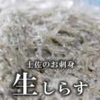 土佐のお刺身 生しらす 6個セット