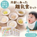 月齢にあった離乳食 9-11か月 離乳食セット600g
