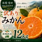 訳あり 有田みかん12kg 11.5kg+補償分500g