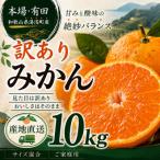 訳あり 有田みかん 和歌山 2S~Lサイズ混合