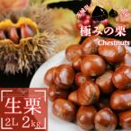 ふるさと納税 かすみがうら市 2026年産!大粒生栗 先行予約受付中 かすみがうら市産　生栗　2Lサイズ 2kg