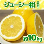ジューシーオレンジ 約10kg