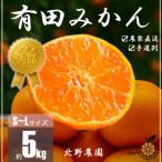 ふるさと納税 湯浅町 秀品 有田みかん 和歌山県産　S〜Lサイズ 大きさお任せ 5kg