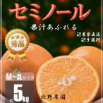 秀品 セミノール 和歌山 有田 M~3Lサイズ