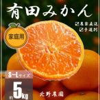有田みかん 和歌山 訳あり S~Lサイズ 大きさお任せ 5kg
