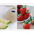 ショッピングふるさと納税 メロン ふるさと納税 南国市 高知県南国市産/メロンといちごセット【2026年2月〜発送開始】
