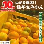 みかん 春待ち 越冬みかん 箱込10kg 内容量9.2kg