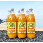 ふるさと納税 湯浅町 和歌山有田産100%うんしゅうみかんジュース970ml×6本セット