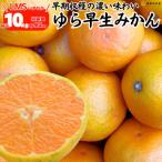 ゆら早生 みかん 箱込10kg 内容量9.2kg