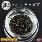 ふるさと納税 国富町 【訳あり】クニトミキャビア 20g(20g×1)