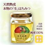 百花純粋生はちみつ 非加熱 140g×1本