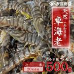 訳あり 天然車海老 500g