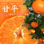 ショッピング甘平 ふるさと納税 上島町 【先行受付】甘平(かんぺい)化粧箱　4L〜2Lサイズ　8〜12玉　愛媛県JAおちいまばり