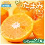 たまみ L~Sサイズ 2.5kg