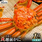 越前がに 大1杯