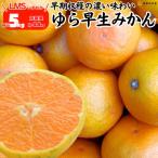 ゆら早生 みかん 箱込 5kg