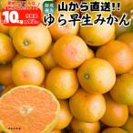 ゆら早生 みかん 山から直送 箱込 10kg