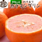 カラマンダリン2.5kg+250g 傷み補償分