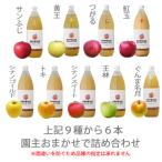 無添加 品種おまかせりんごジュース6本入