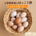 上原養鶏場のはっこう卵 3~4種おまかせ食べ比べ
